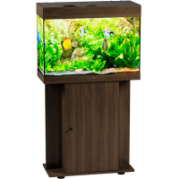 akvarium biodizajn startup 70_zolotoj orekh